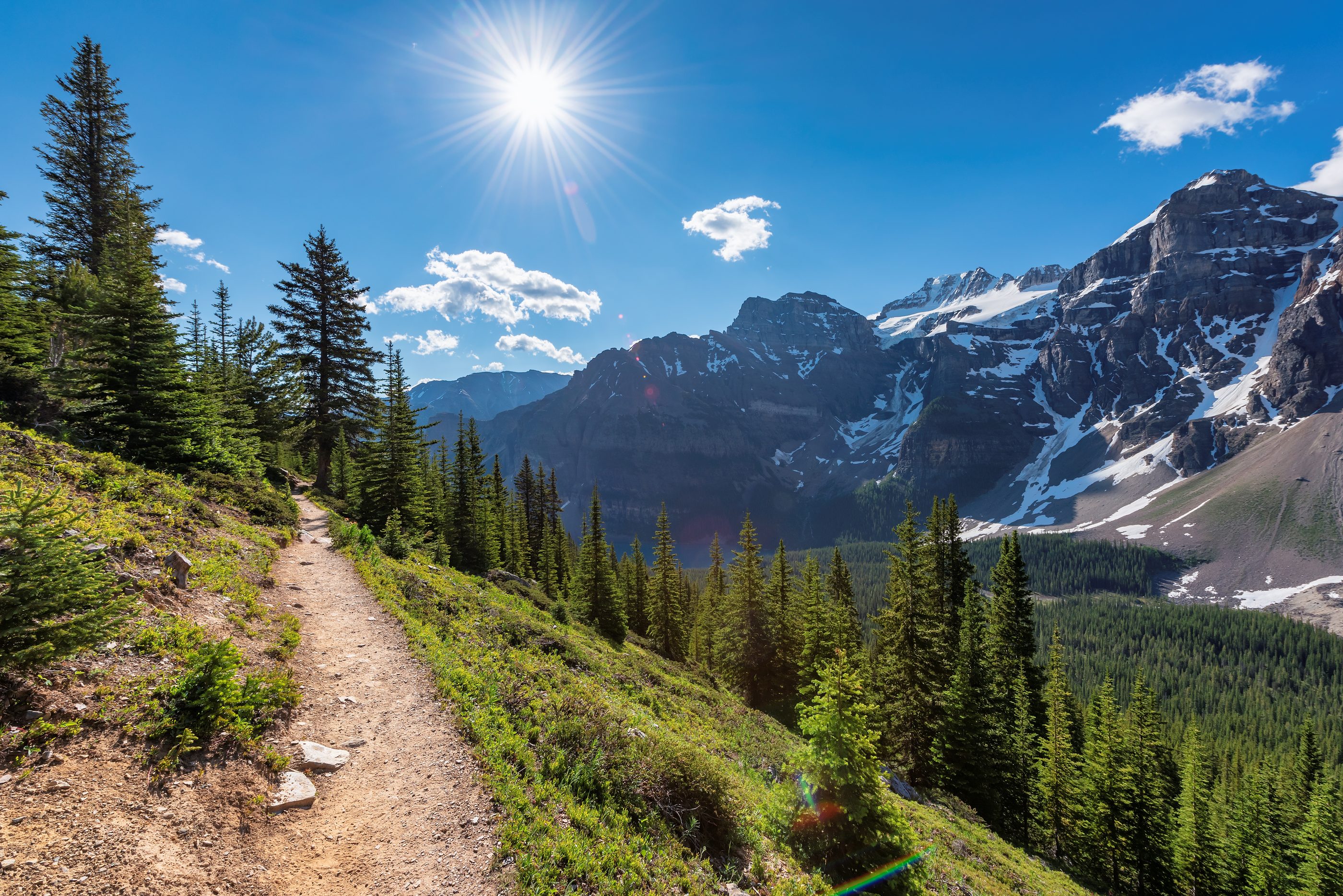 Mountain road following a stream through the Colorado high country