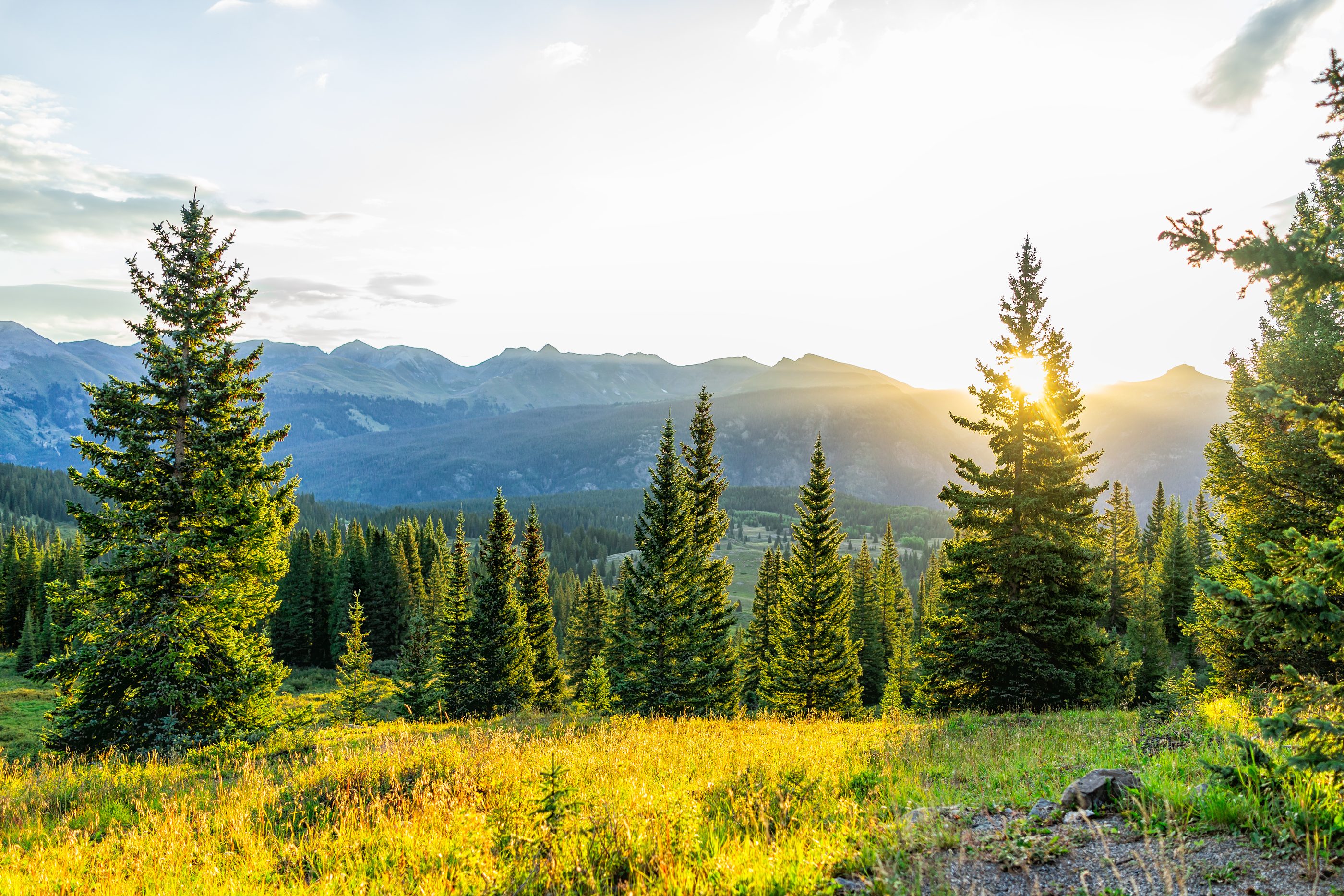 Morning sun breaking through pines above a Colorado mountain valley