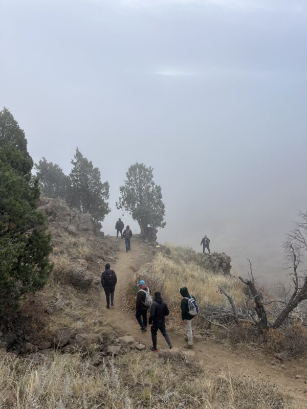 Walking a fog covered Colorado trail
