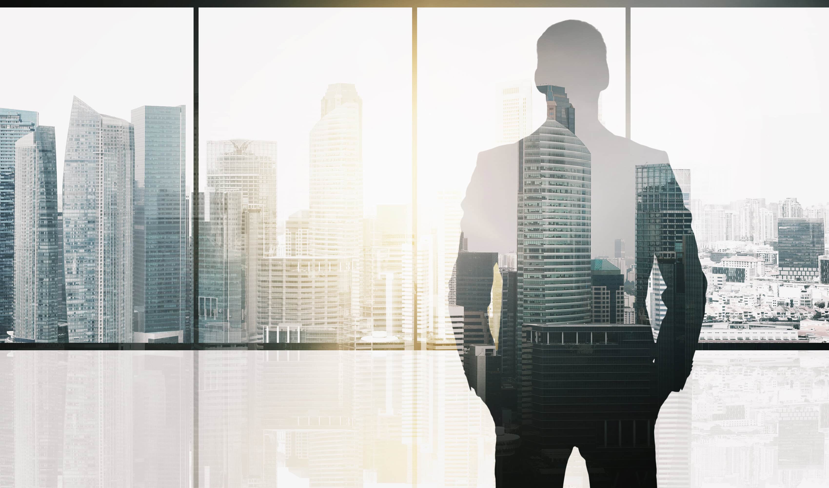 Silhouette of an executive against a city skyline.